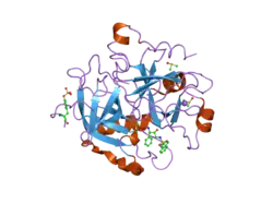 2c8y: THROMBIN INHIBITORS
