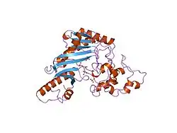 2crk: MUSCLE CREATINE KINASE