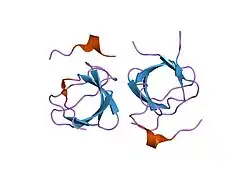 2d0n: Crystal structure of the C-terminal SH3 domain of the adaptor protein GADS in complex with SLP-76 motif peptide reveals a unique SH3-SH3 interaction