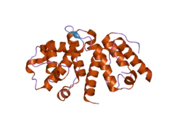 2eyn: Crystal structure of the actin-binding domain of human alpha-actinin 1 at 1.8 Angstrom resolution