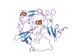 2eyz: CT10-Regulated Kinase isoform II
