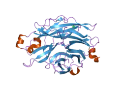 2f24: Crystal Structure of the Human Sialidase Neu2 E111Q Mutant