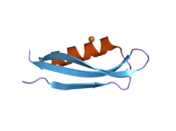 2fk1: Structure of the Alzheimer's Amyloid Precursor Protein (APP) Copper Binding Domain in 'small unit cell' form, Cu(II)-bound