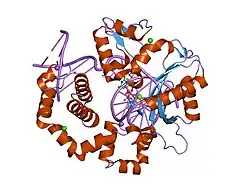 2fms: DNA Polymerase beta with a gapped DNA substrate and dUMPNPP with magnesium in the catalytic site