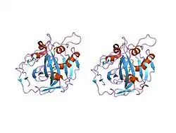 2fw4: Carbonic anhydrase activators. The first X-ray crystallographic study of an activator of isoform I, structure with L-histidine.