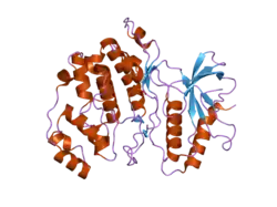 2gph: Docking motif interactions in the MAP kinase ERK2