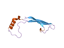 2gyz: Crystal structure of human artemin