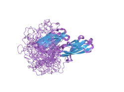 2ha1: Complex of the first and second type III domains of human Fibronectin in solution