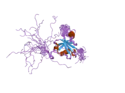 2hde: Solution Structure of Human SAP18