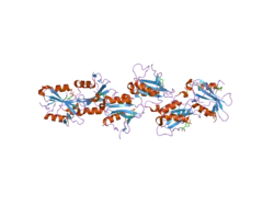 2hdx: Crystal structure of the Src homology-2 domain of SH2-B in complex with Jak2 pTyr813 phosphopeptide