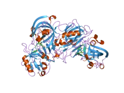 2il2: Crystal Structure of Human Renin Complexed with Inhibitor