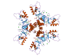2j9l: CYTOPLASMIC DOMAIN OF THE HUMAN CHLORIDE TRANSPORTER CLC-5 IN COMPLEX WITH ATP