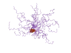 2jm2: Structure of the N-terminal subdomain of insulin-like growth factor (IGF) binding protein-6 and its interactions with IGFs