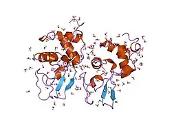 2mec: CHANGES IN CONFORMATIONAL STABILITY OF A SERIES OF MUTANT HUMAN LYSOZYMES AT CONSTANT POSITIONS