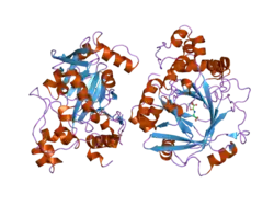2oq7: The crystal structure of JMJD2A complexed with Ni and N-oxalylglycine