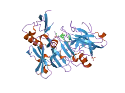 2ph6: Crystal Structure of Human Beta Secretase Complexed with inhibitor