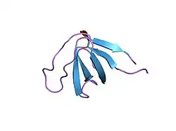 5hck: HUMAN HCK SH3 DOMAIN, NMR, MINIMIZED AVERAGE STRUCTURE