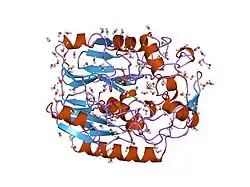 5jdw: CRYSTAL STRUCTURE OF HUMAN L-ARGININE:GLYCINE AMIDINOTRANSFERASE IN COMPLEX WITH GLYCINE