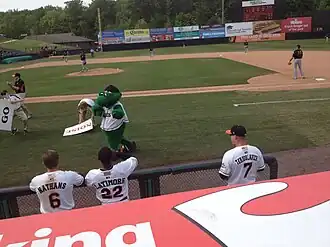 Prince George's Stadium (Chesapeake Baysox)