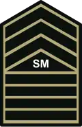 Senior master sergeant insignia Philippine Army