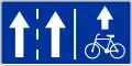 F-19 "lane for designated vehicles" (e.g. for bicycles, on the right)