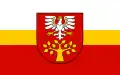 Flag of Limanowski County