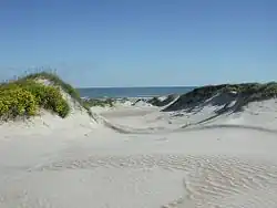 Dunes at the beach