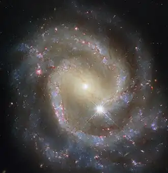 A spiral galaxy seen face-on. Its centre is crossed by a broad bar of light. A glowing spiral arm extends from each end of this bar, both making almost a full turn through the galaxy’s disc before fading out. The arms contain sparkling blue stars, pink spots of star formation, and dark threads of dust that follow both spiral arms into and across the central bar. A foreground star sits atop the galaxy.