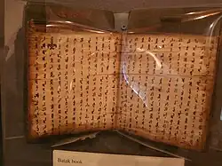 Batak book about the art of divination from a rooster (Robert C. Williams Museum of Papermaking in Atlanta, Georgia, USA)