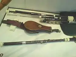 Pastoral pipes with removable footjoint and bellows