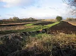 Preparing areas in the Somerset Levels for peat extraction, 2005