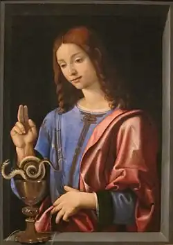 St. John the Evangelist, oil on panel, 1504-6, Honolulu Museum of Art,