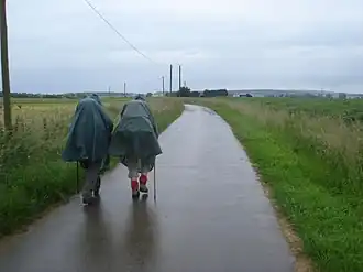 Pilgrims on the Way of St. James