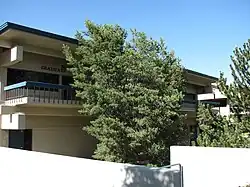 Pinus edulis Piñon Pine