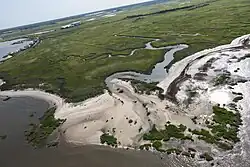 Beach at Gandys Beach