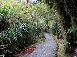 Pororari River Track