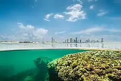 Coral Reef at Port City Colombo