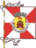 Flag of City of Miranda do Douro