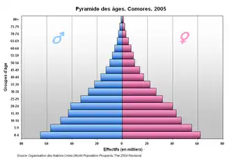 Population geography or Demography