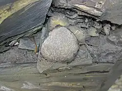 Pyrite concretion in Chattanooga Shale