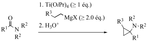 De Meijere variation