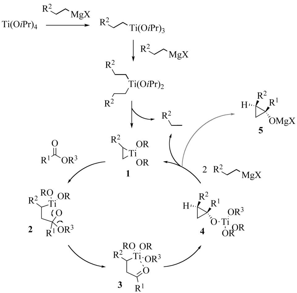 Reaction mechanism