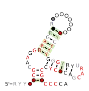 Flavi_ISFV_repeat_Ra Secondary structure taken from the Rfam database. Family RF03544