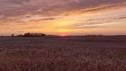 An autumn sunset in a field in the RM of Pipestone
