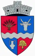 Coat of arms of Șieu-Odorhei