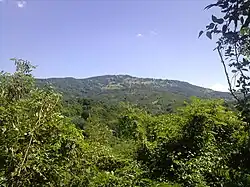 Măgura Priei Peak&nbsp;[ro]