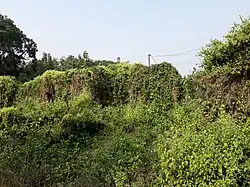 Ruins of Mahanad Rajbari at Mahanad