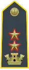 Lieutenant-Colonel, commanding officer