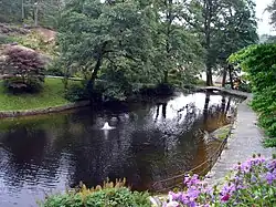 Small lake in Ravnedalen