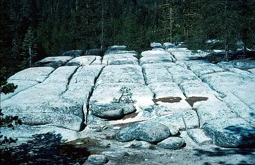 Rectangular blocks formed in El Capitan Granite by intersecting joints (orthogonal jointing - orthogonal cross joints)